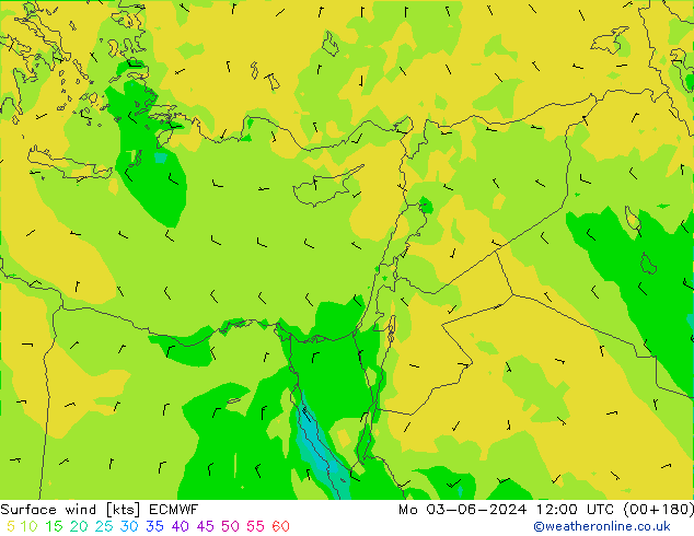 ветер 10 m ECMWF пн 03.06.2024 12 UTC