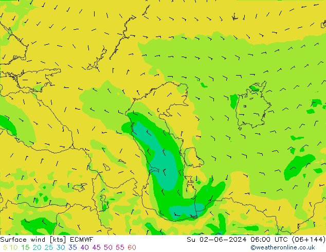 Surface wind ECMWF Ne 02.06.2024 06 UTC