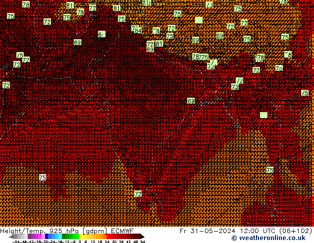 Hoogte/Temp. 925 hPa ECMWF vr 31.05.2024 12 UTC