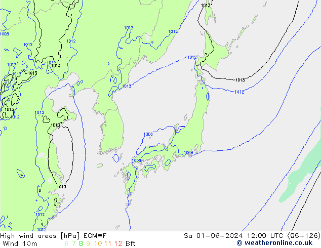 High wind areas ECMWF сб 01.06.2024 12 UTC