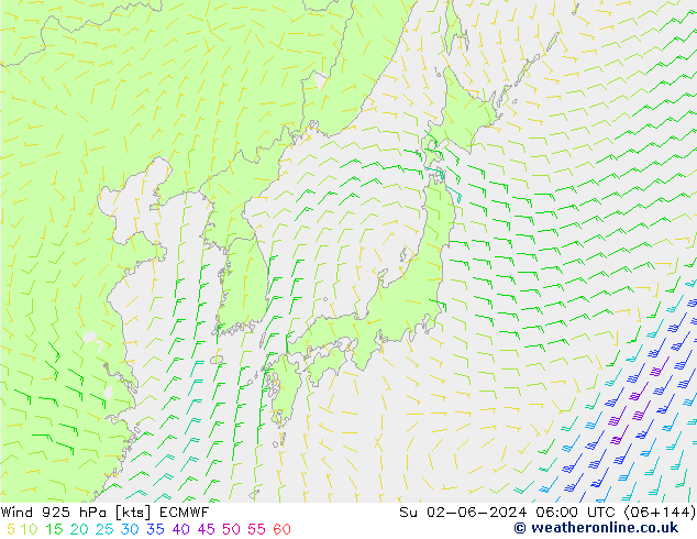 Viento 925 hPa ECMWF dom 02.06.2024 06 UTC