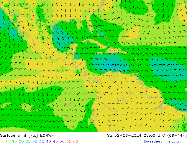 Rüzgar 10 m ECMWF Paz 02.06.2024 06 UTC