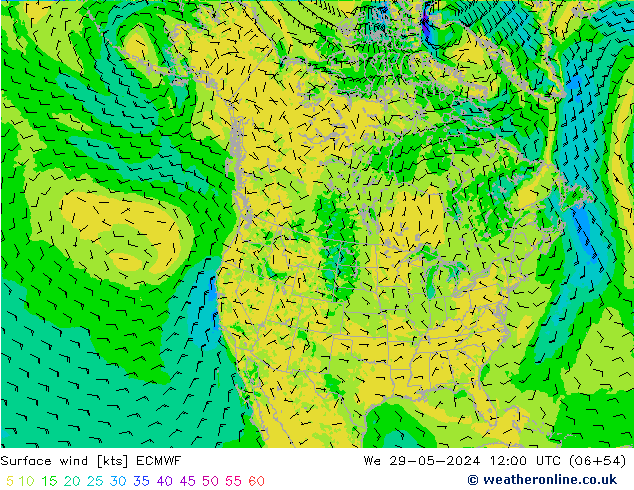 Wind 10 m ECMWF wo 29.05.2024 12 UTC