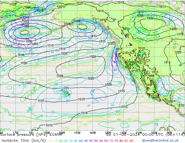 Isotachen (km/h) ECMWF Sa 01.06.2024 00 UTC