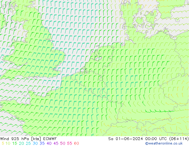 wiatr 925 hPa ECMWF so. 01.06.2024 00 UTC