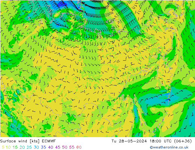 ветер 10 m ECMWF вт 28.05.2024 18 UTC