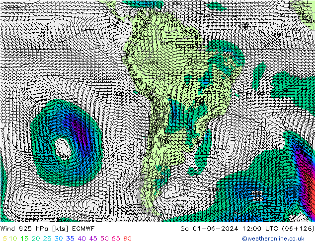 Vento 925 hPa ECMWF sab 01.06.2024 12 UTC