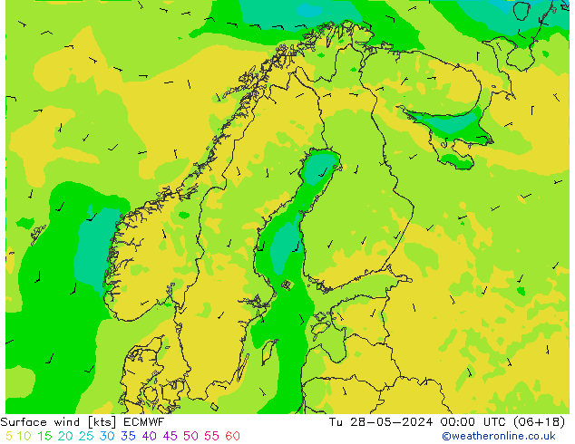 Surface wind ECMWF Tu 28.05.2024 00 UTC