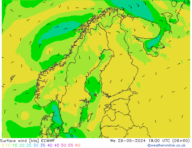 Surface wind ECMWF We 29.05.2024 18 UTC