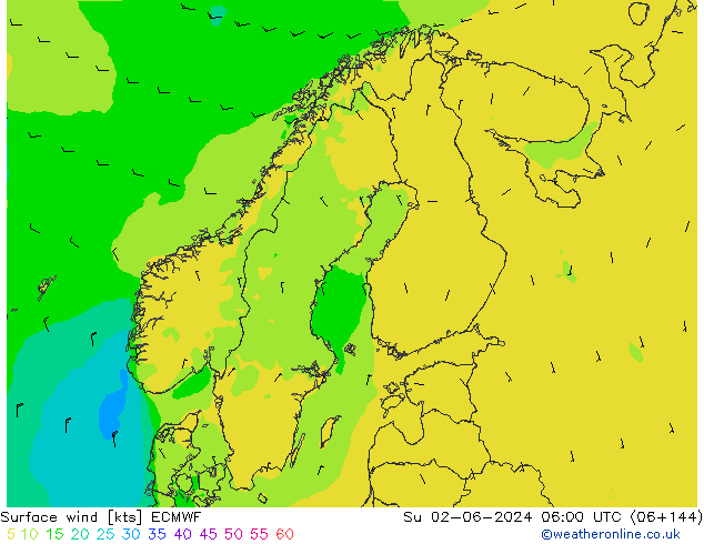 Viento 10 m ECMWF dom 02.06.2024 06 UTC