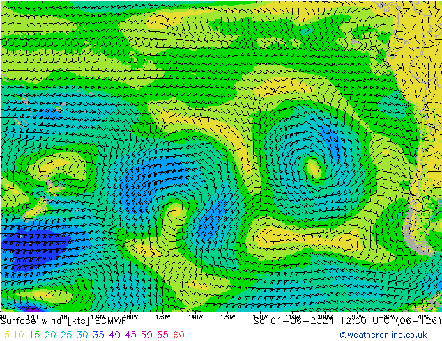 Surface wind ECMWF Sa 01.06.2024 12 UTC