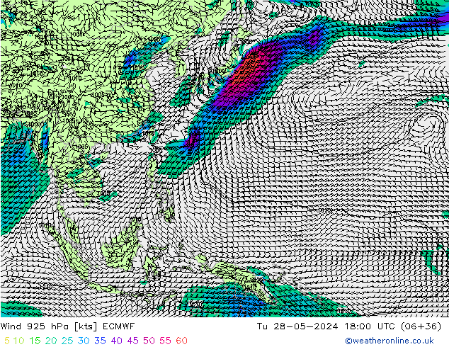 Rüzgar 925 hPa ECMWF Sa 28.05.2024 18 UTC