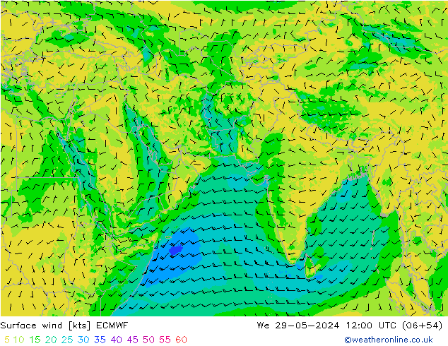 Surface wind ECMWF St 29.05.2024 12 UTC