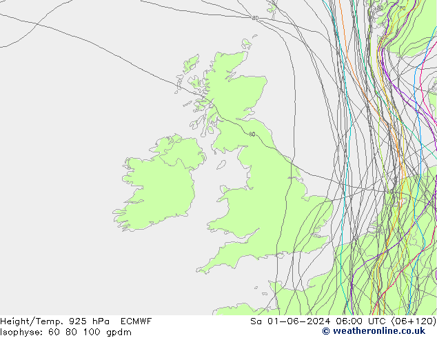 Height/Temp. 925 гПа ECMWF сб 01.06.2024 06 UTC