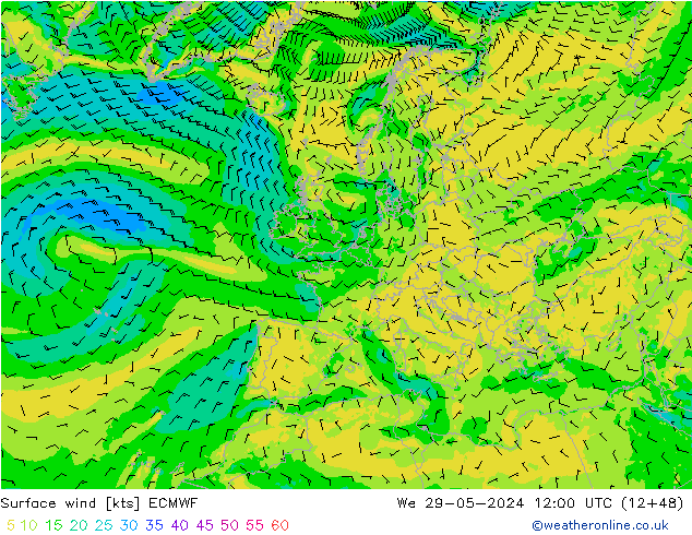 Surface wind ECMWF We 29.05.2024 12 UTC