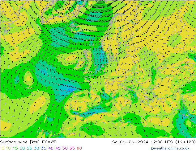 ветер 10 m ECMWF сб 01.06.2024 12 UTC