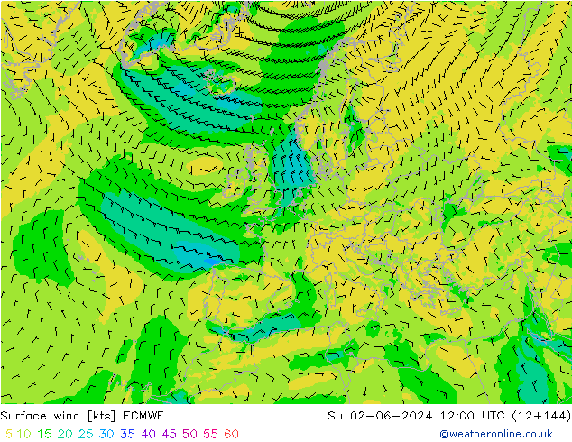 Surface wind ECMWF Su 02.06.2024 12 UTC