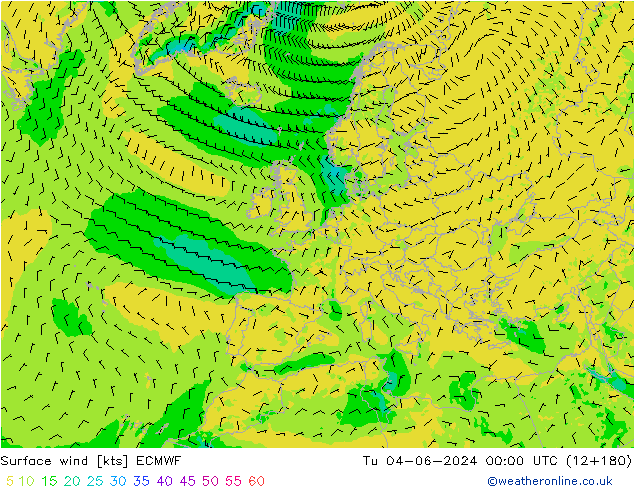 ветер 10 m ECMWF вт 04.06.2024 00 UTC