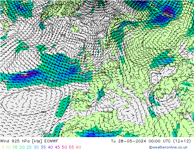 ветер 925 гПа ECMWF вт 28.05.2024 00 UTC