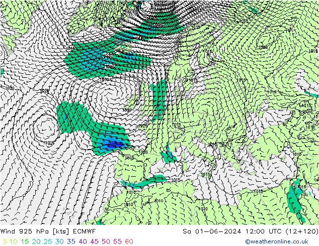 ветер 925 гПа ECMWF сб 01.06.2024 12 UTC