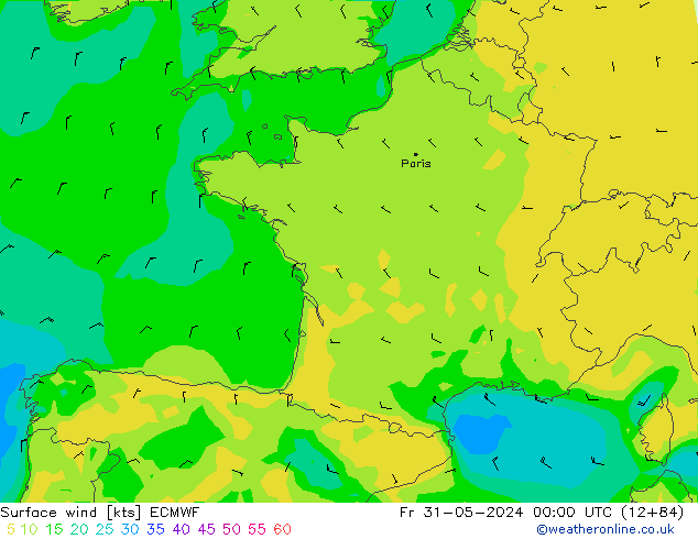  10 m ECMWF  31.05.2024 00 UTC