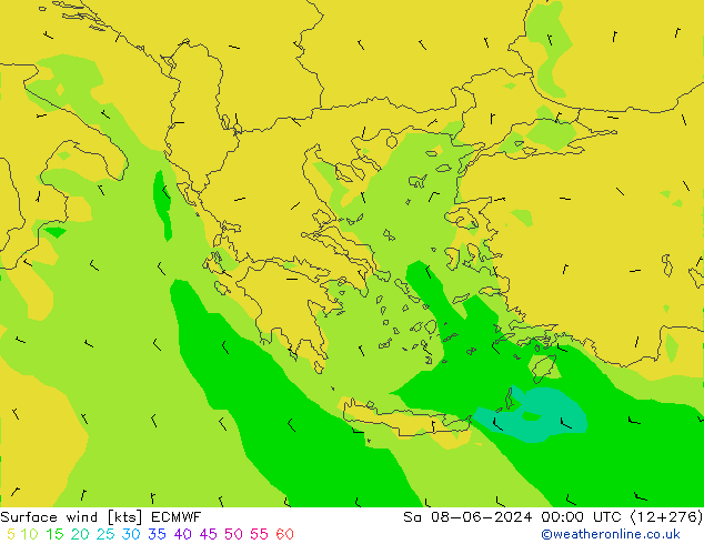 Surface wind ECMWF So 08.06.2024 00 UTC