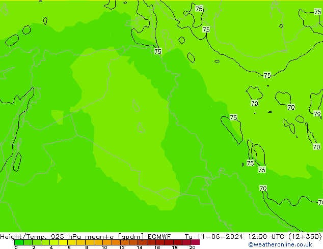 Yükseklik/Sıc. 925 hPa ECMWF Sa 11.06.2024 12 UTC