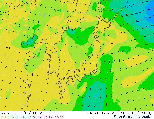 Wind 10 m ECMWF do 30.05.2024 18 UTC