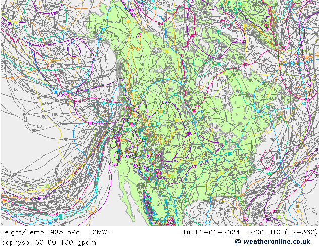 Geop./Temp. 925 hPa ECMWF mar 11.06.2024 12 UTC