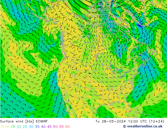  10 m ECMWF  28.05.2024 12 UTC