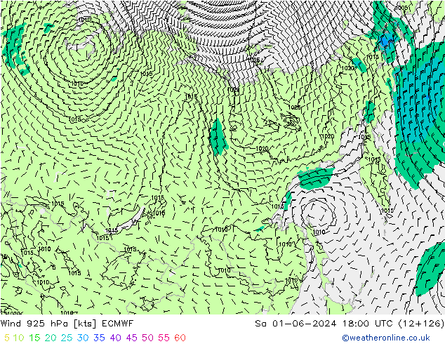 Viento 925 hPa ECMWF sáb 01.06.2024 18 UTC