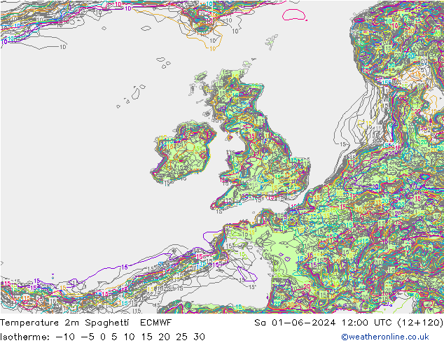 Temperature 2m Spaghetti ECMWF Sa 01.06.2024 12 UTC