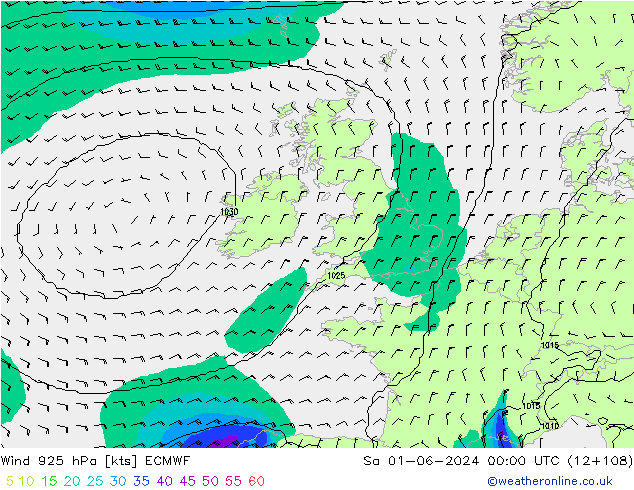 Vent 925 hPa ECMWF sam 01.06.2024 00 UTC