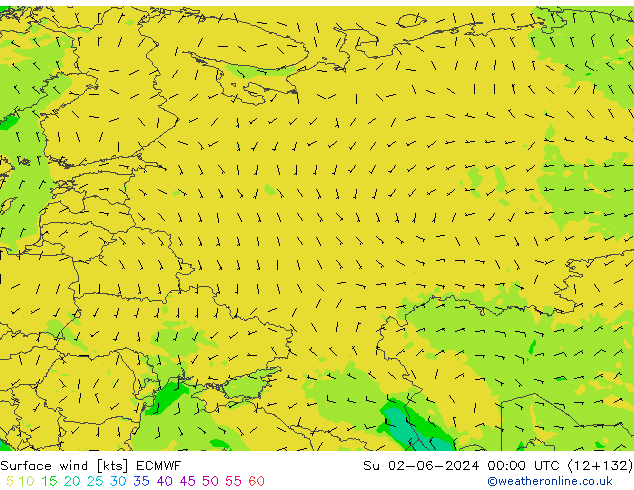 Surface wind ECMWF Su 02.06.2024 00 UTC