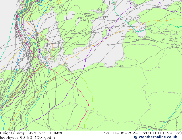 Géop./Temp. 925 hPa ECMWF sam 01.06.2024 18 UTC