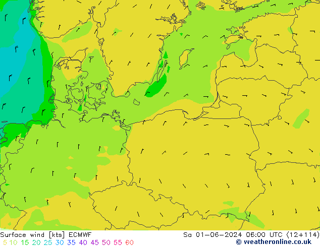 Vent 10 m ECMWF sam 01.06.2024 06 UTC