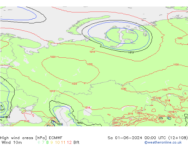 High wind areas ECMWF Sa 01.06.2024 00 UTC
