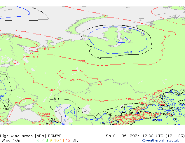 High wind areas ECMWF Sa 01.06.2024 12 UTC