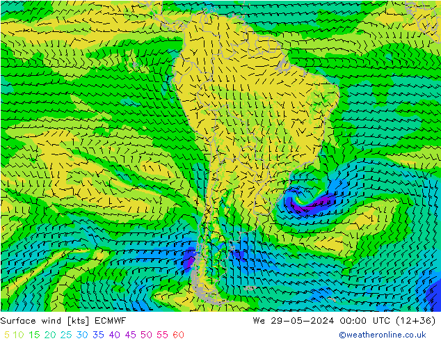 ветер 10 m ECMWF ср 29.05.2024 00 UTC