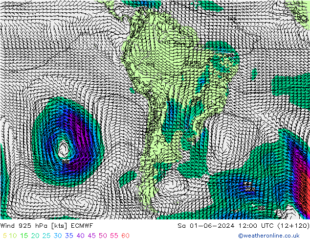 Wind 925 hPa ECMWF So 01.06.2024 12 UTC