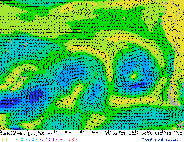 Viento 10 m ECMWF dom 02.06.2024 00 UTC