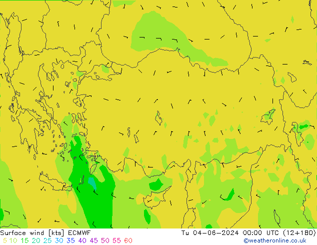 ветер 10 m ECMWF вт 04.06.2024 00 UTC