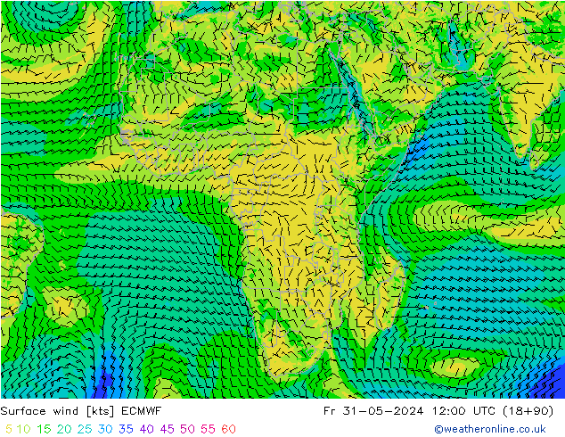 Vent 10 m ECMWF ven 31.05.2024 12 UTC