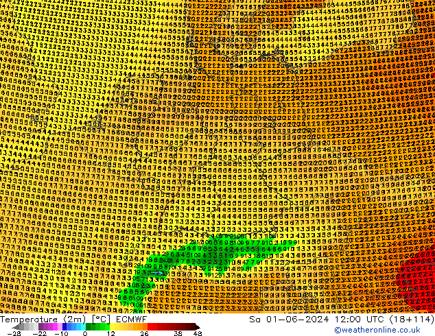 Temperature (2m) ECMWF Sa 01.06.2024 12 UTC