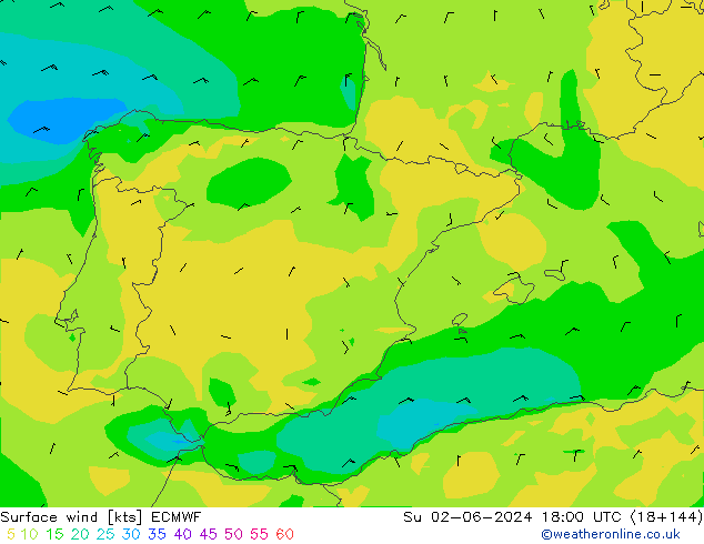 ветер 10 m ECMWF Вс 02.06.2024 18 UTC