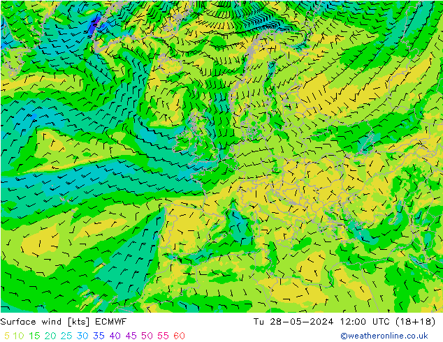 Bodenwind ECMWF Di 28.05.2024 12 UTC