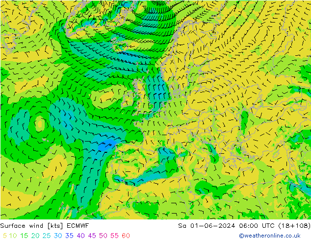 Bodenwind ECMWF Sa 01.06.2024 06 UTC