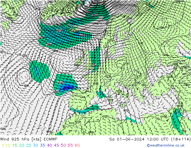 Vento 925 hPa ECMWF Sáb 01.06.2024 12 UTC