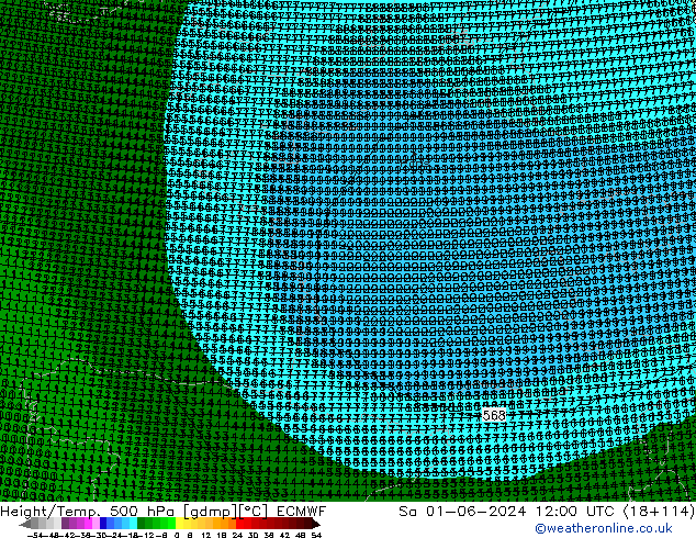 Géop./Temp. 500 hPa ECMWF sam 01.06.2024 12 UTC