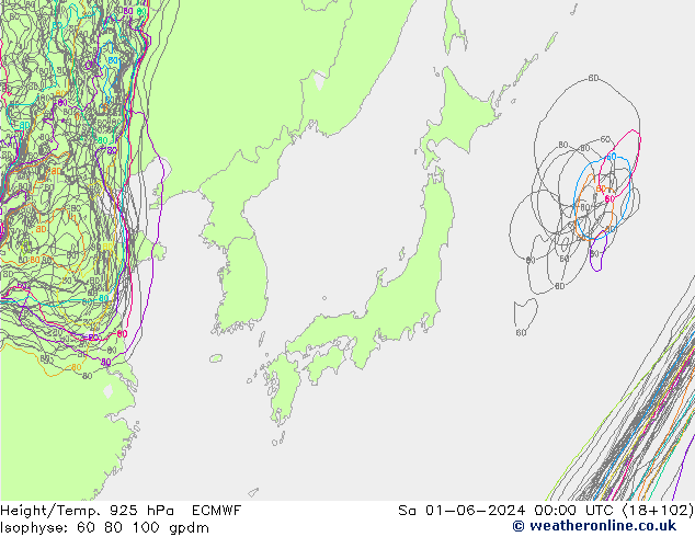 Height/Temp. 925 гПа ECMWF сб 01.06.2024 00 UTC